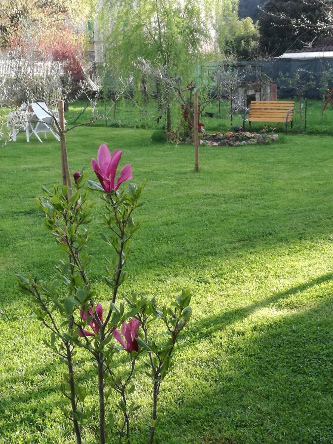 B&B La Damigiana Fioi Piano di Follo Exterior foto