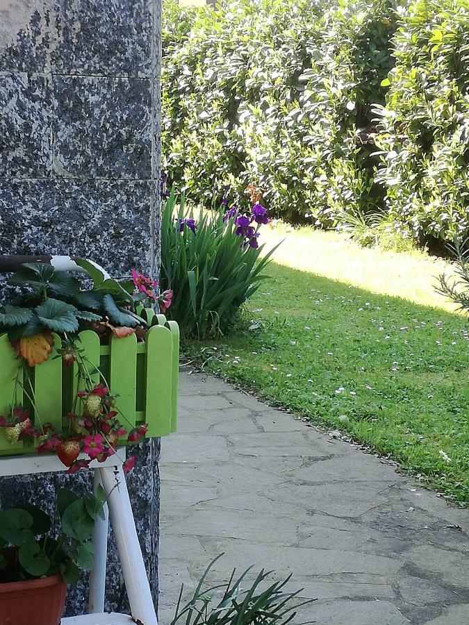 B&B La Damigiana Fioi Piano di Follo Exterior foto