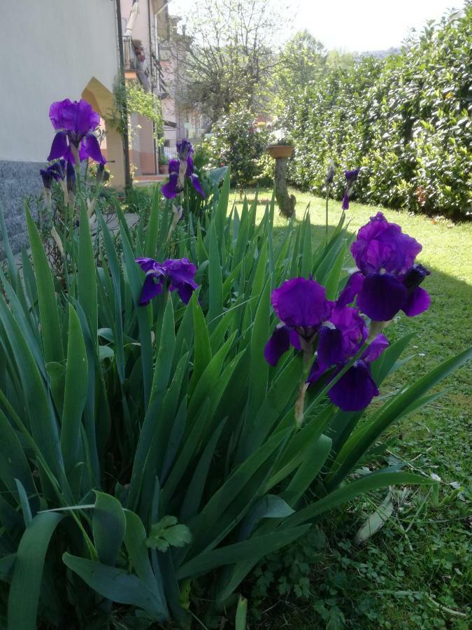 B&B La Damigiana Fioi Piano di Follo Exterior foto